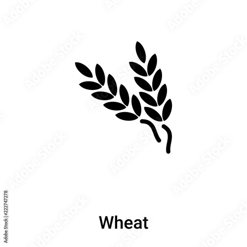 Wheat icon vector isolated on white background, logo concept of Wheat sign on transparent background, black filled symbol