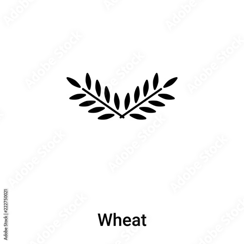 Wheat icon vector isolated on white background, logo concept of Wheat sign on transparent background, black filled symbol