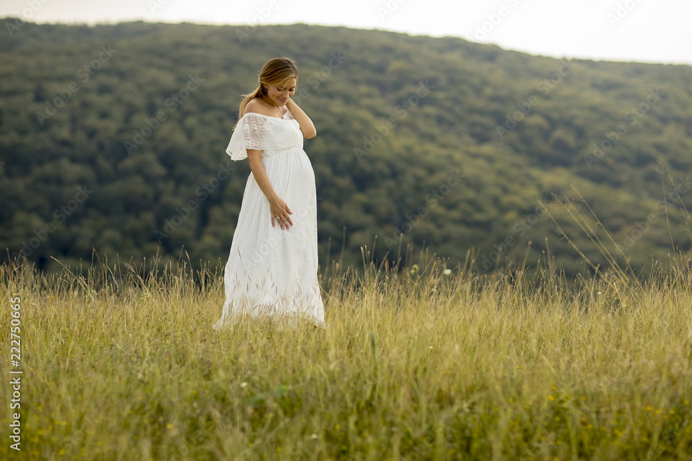 Young pregnant woman relaxing outside in nature