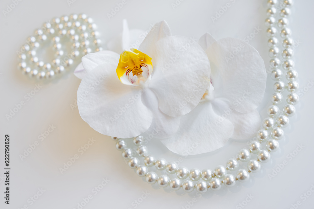 pearl and white orchid on a white glas pearl and white orchid on a white glas