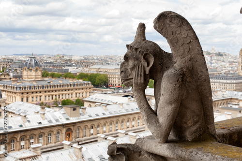 Notre Dame Cathedral Paris © Steve Lovegrove