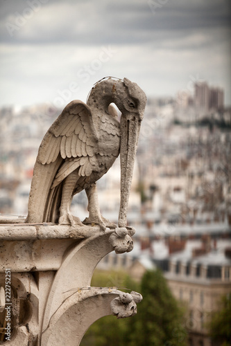 Obraz na płótnie Notre Dame Cathedral Paris