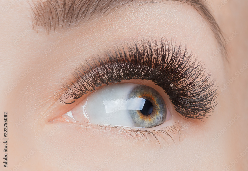 © Parilov - Macro photo woman with long lashes in beauty salon. Concept eyelash extension procedure. © Parilov - Macro photo woman with long lashes in beauty salon. Concept eyelash extension procedure.