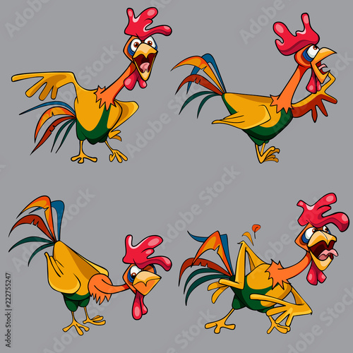 cartoon funny multicolored cockerel in different poses