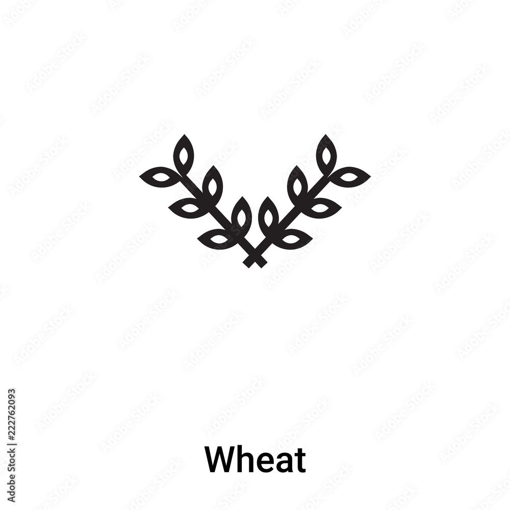 Wheat icon vector isolated on white background, logo concept of Wheat sign on transparent background, black filled symbol
