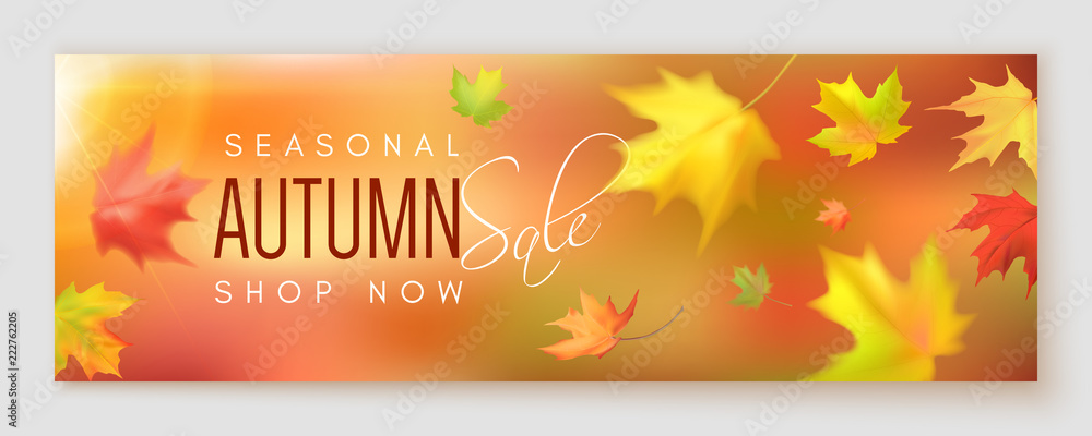 Autumn sale banner - obrazy, fototapety, plakaty 