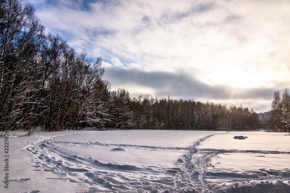 Winter forest landscape Winter forest landscape