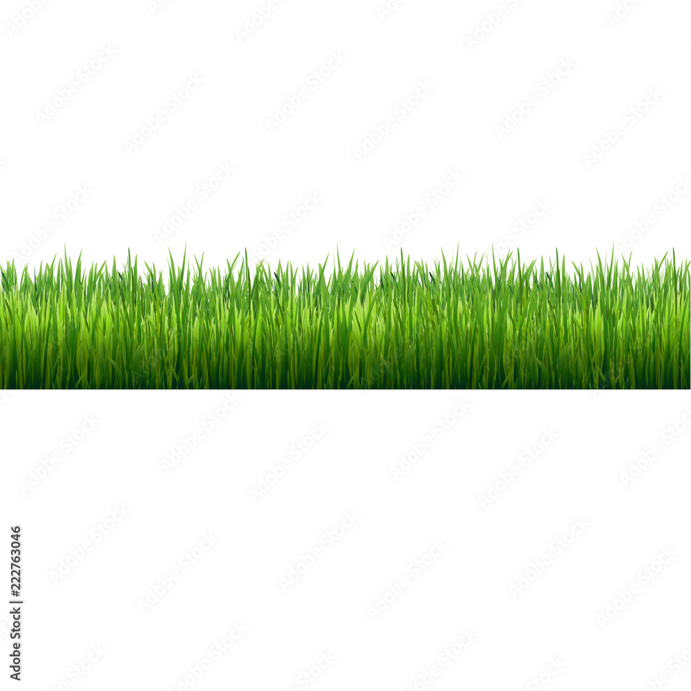 Obraz premium Grass Border Isolated