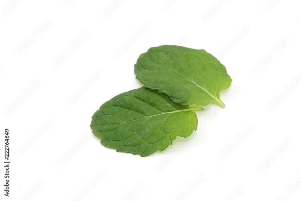 Mint leaf fresh and vegetable food Mint leaf fresh and vegetable food