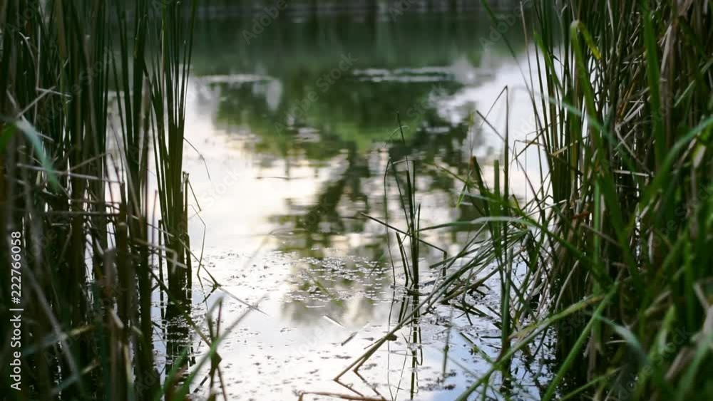 Blue water moving slowly Blue water moving slowly