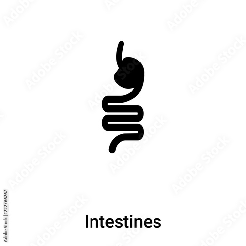 Intestines icon vector isolated on white background, logo concept of Intestines sign on transparent background, black filled symbol