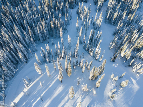 Фотография Aerial photo of skiing trails and runs go through the beautiful forest covered m