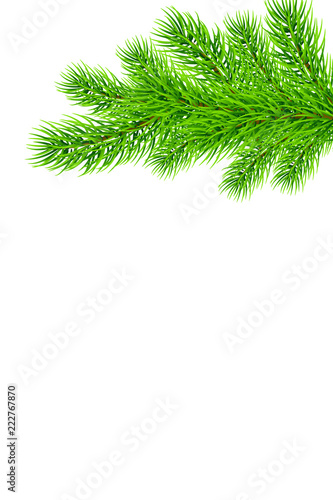 Holiday Christmas frame with fir tree branches. Template for a banner  poster  invitation