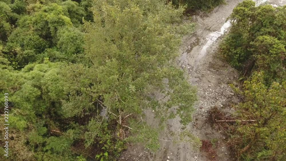 Flying over a new road cut through montane rainforest near Cosanga on the Amazonian slopes of the Andes in Ecuador Flying over a new road cut through montane rainforest near Cosanga on the Amazonian slopes of the Andes in Ecuador