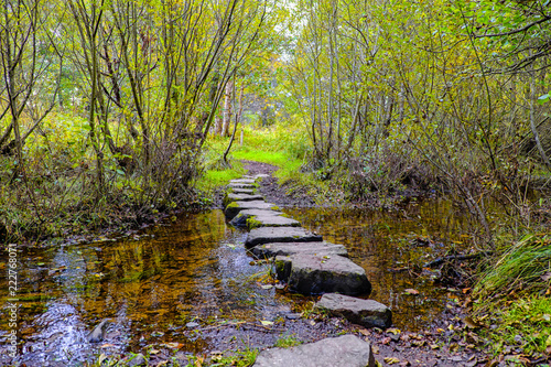 Stepping stones Newtonmore