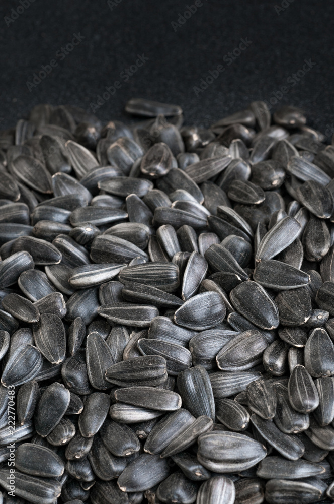sunflower seeds as background with black space sunflower seeds as background with black space