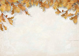Autumn background with oak leaves