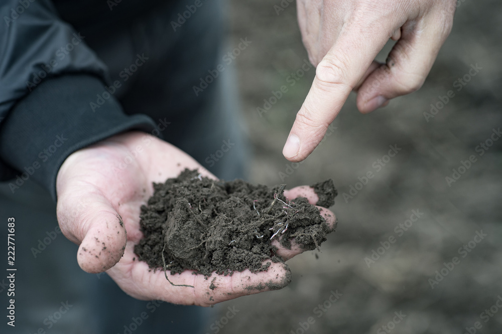 agronomist and farmer discuss the introduction of organic fertilizers and watering farming fields in early spring on a plowed field agronomist and farmer discuss the introduction of organic fertilizers and watering farming fields in early spring on a plowed field
