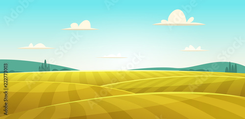 Rural landscape with a field of  wheat,  hills and dales in the background