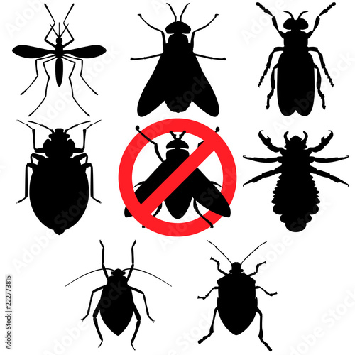 Set of Bloodsucking insects, Pest Control. Mosquito, Gadfly, Midge, Flea, Fly, Sucking lice, Aphid, Bedbug.