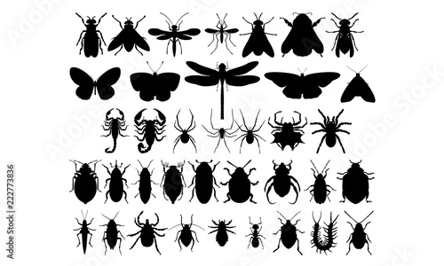 Set of 37 insects (flying, crawling, dangerous, harmless, pests, bloodsucking, fly, butterflies, scorpions, spiders, beetles) Vector black silhouettes