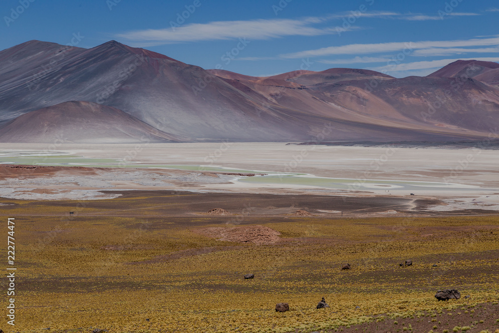 Lagune Altiplanique Colorée proche du désert d'Atacama au Chili voyage découverte  trek roadtrip