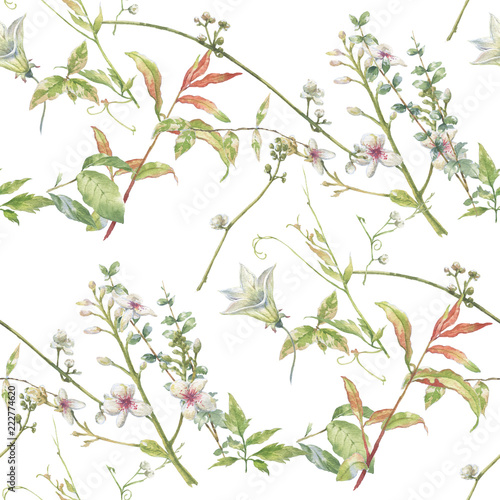 Watercolor painting of leaf and flowers  seamless pattern on white background