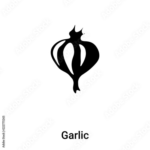 Garlic icon vector isolated on white background, logo concept of Garlic sign on transparent background, black filled symbol