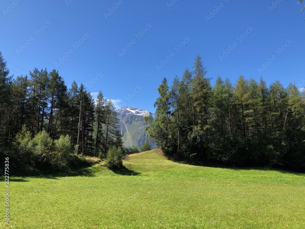 Fototapeta premium Tiroler Alpenlandschaft, Panoramablick, Bergwiese