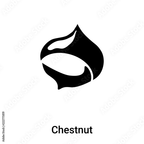 Chestnut icon vector isolated on white background, logo concept of Chestnut sign on transparent background, black filled symbol