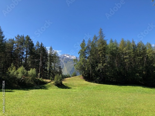 Tiroler Alpenlandschaft, Panoramablick, Bergwiese