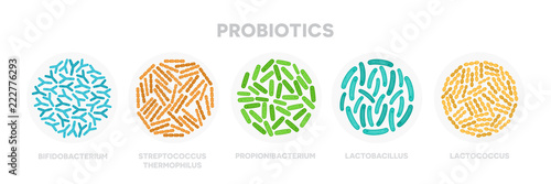 Set of probiotic bacteria. Good microorganisms concept isolated on white background. Propionibacterium, lactobacillus, lactococcus, bifidobacterium, streptococcus thermophilus, escherichia coli photo