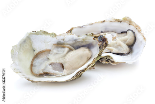 fresh oysters isolated on white background