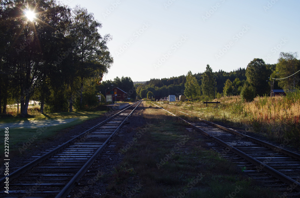 Fototapeta premium Rail road in the forest