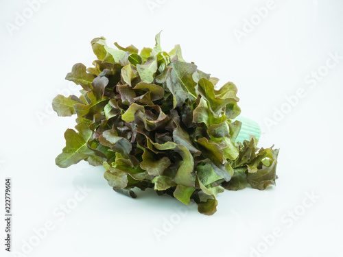 Lettuce on white background, photo