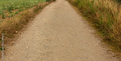 wanderweg mitten durchs feld