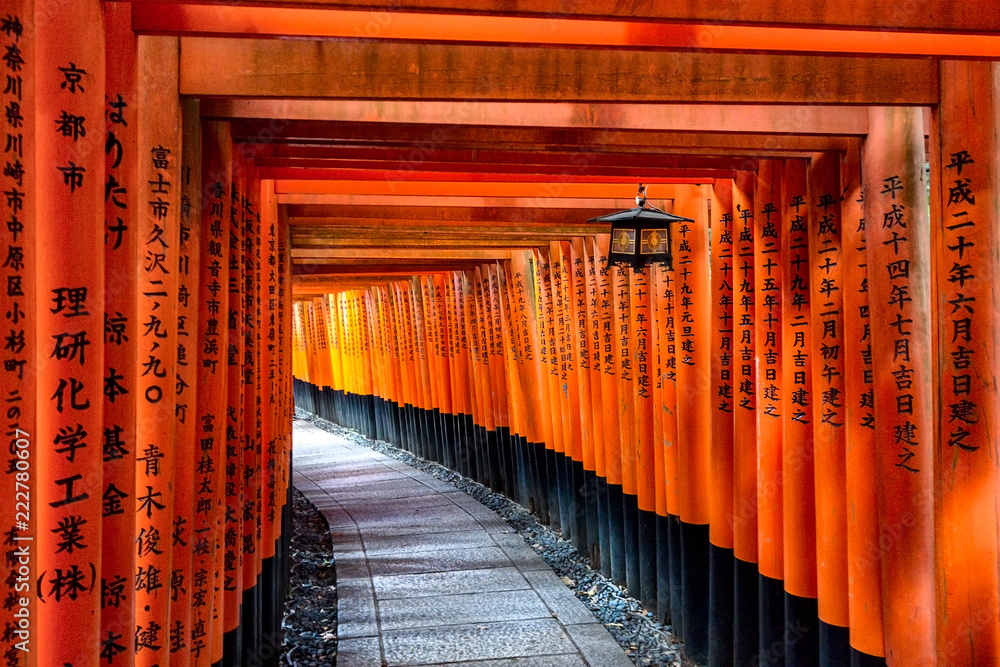 Naklejka premium Fushimi Inari-Kyoto, Japonia