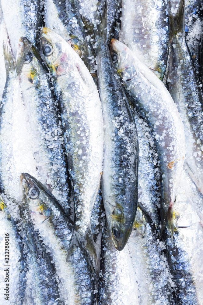 Fresh Portuguese sardines