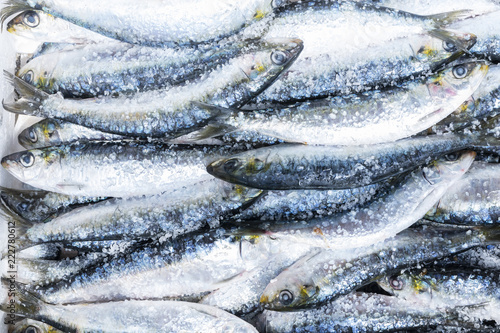 Obraz na płótnie Fresh Portuguese sardines w salonie