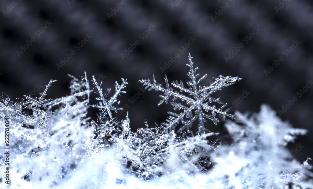 snowflake, little snowflake on the snow snowflake, little snowflake on the snow