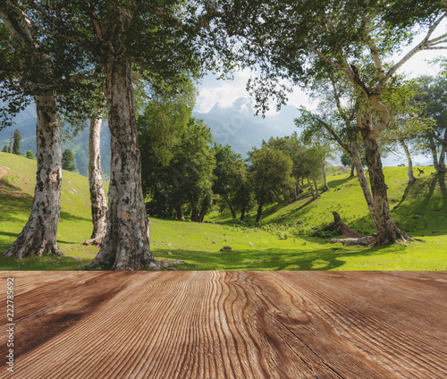 Natural forest landscape in the morning with wooden desk, for background