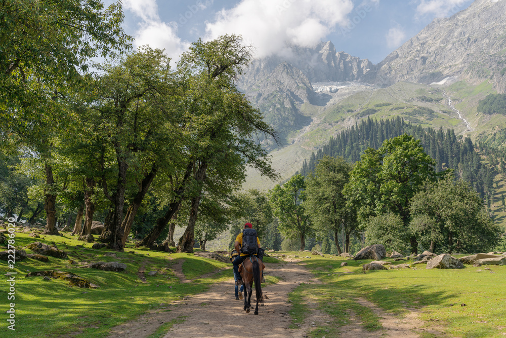 Travelling in summer, backpacker riding horse in summer at Sonamarg, Jammu and Kashmir India