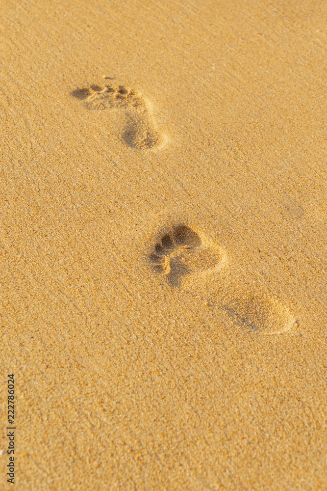 woman relaxing walking on sand beach leaving footprints in the sand. woman relaxing walking on sand beach leaving footprints in the sand.