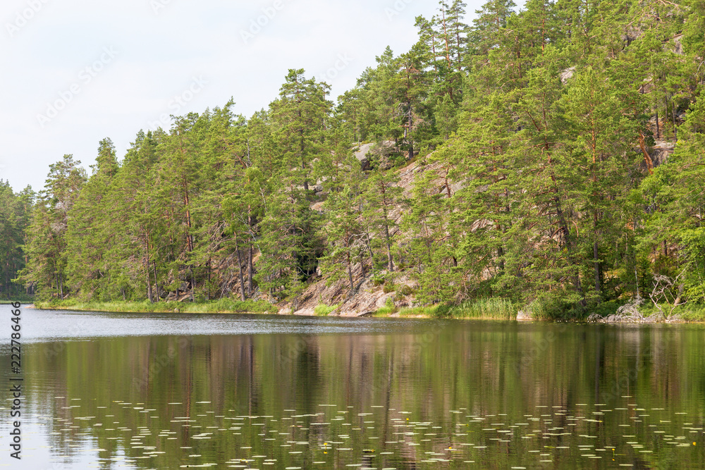 Lake with forest going down to the beach Lake with forest going down to the beach