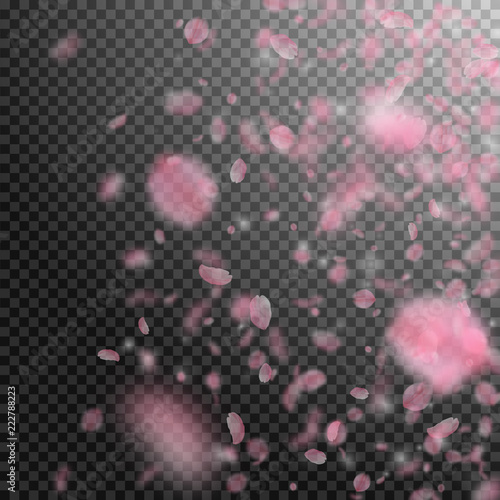 Sakura petals falling down. Romantic pink flowers gradient. Flying petals on transparent square back