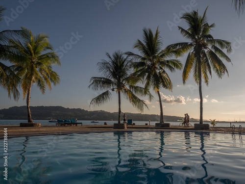 Pool with silhouettes of palm trees