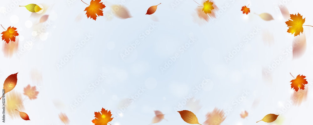 golden autumn season golden autumn season