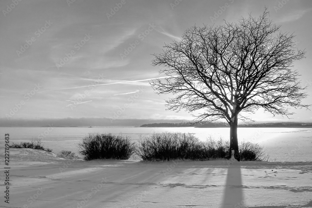 Winter landscape with sunset fiery sky. Composition of nature.