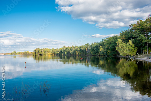 lake in forest