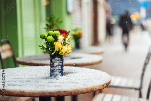 Flowers stand on a snowy table photo